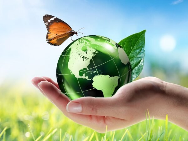 Bio‑Enzymes: The Science Behind Powerful, Planet‑Kind Cleaning